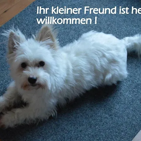 Fewo Mowennest Kasnevitz