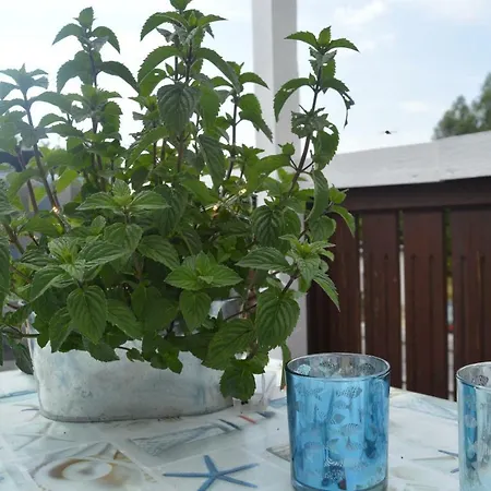 Fewo Mowennest Kwatera prywatna Kasnevitz